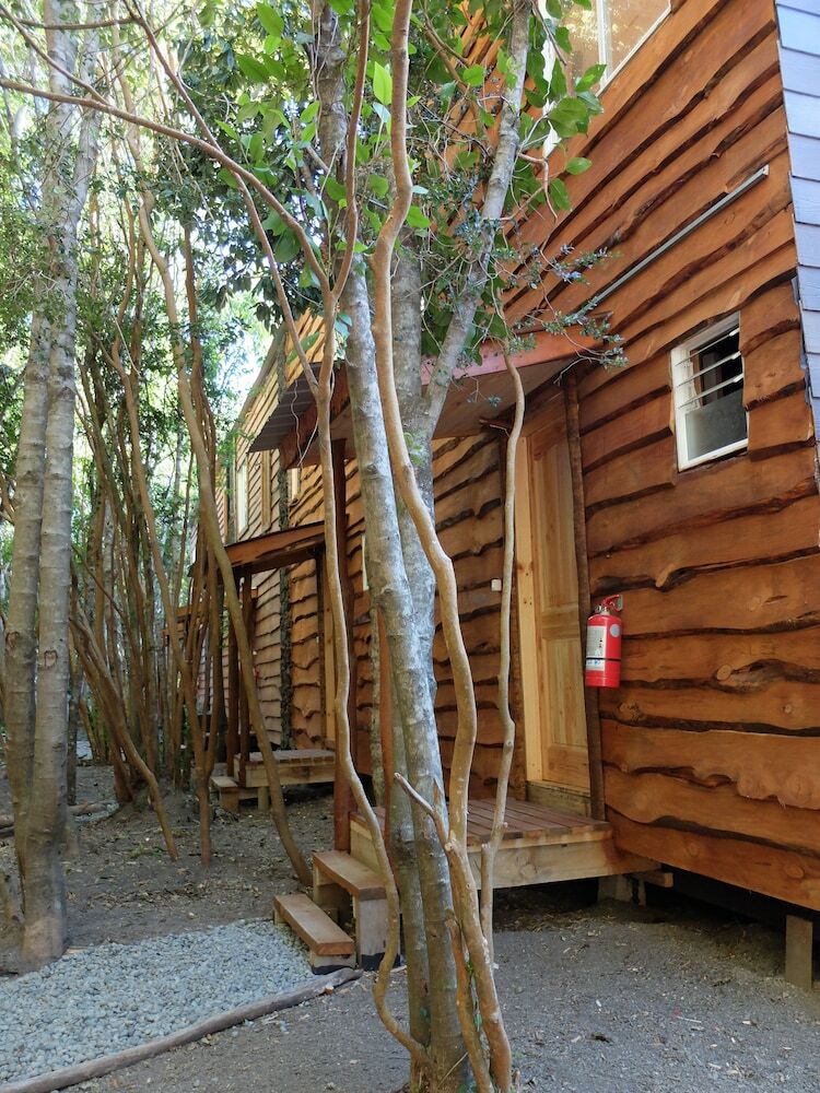 Caba�as Ensenada Bosque Nativo
