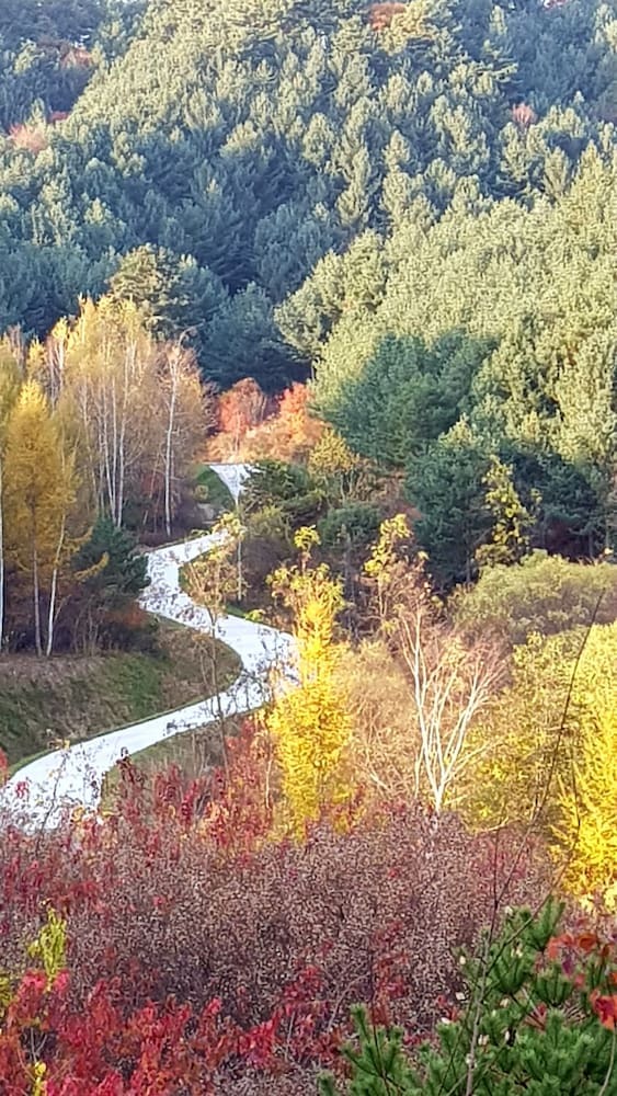 Hotel Goodstay Daegwallyeongsanbang