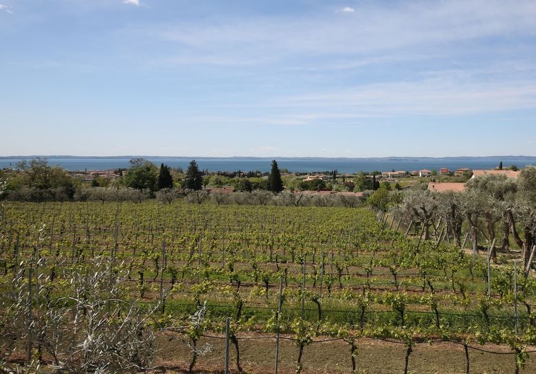 Apartamento Appartamenti Bellavista