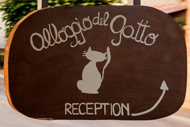 Alloggio Del Gatto