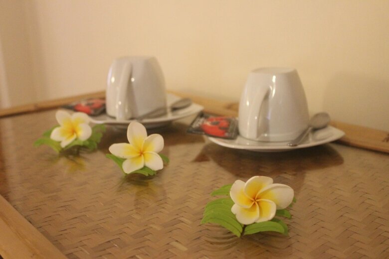Chonos Hotel Lovina