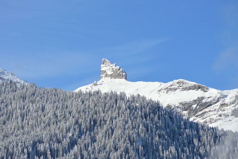 Hotel Silberhorn Wengen