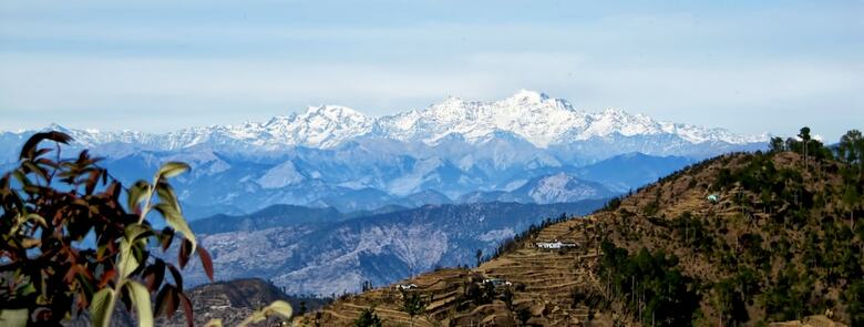 Hotel Whispering Pines Himalayan Retreat