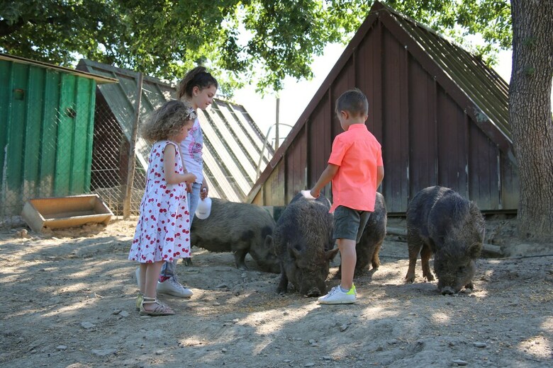 Agroturismo Tenuta Di Forte Sorgnano