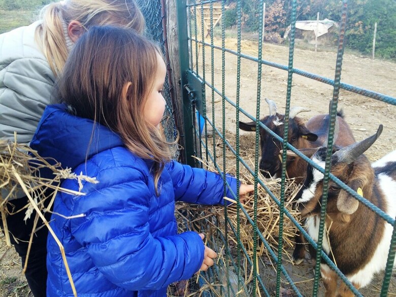 Agroturismo Tenuta Di Forte Sorgnano