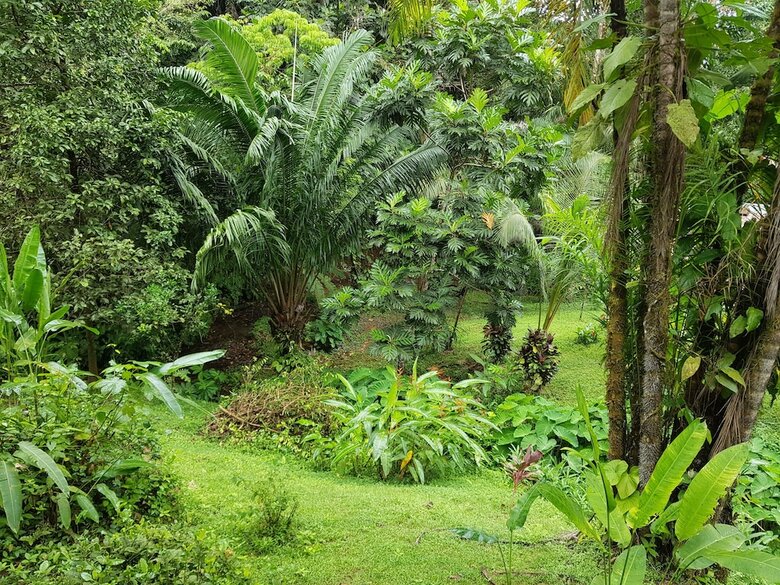 Posada Drake Bay Paradise Lodge
