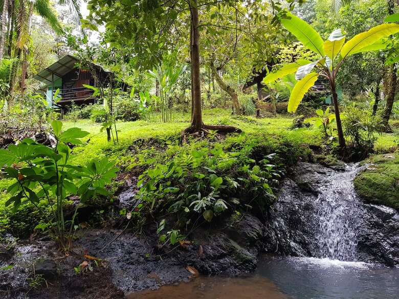 Posada Drake Bay Paradise Lodge