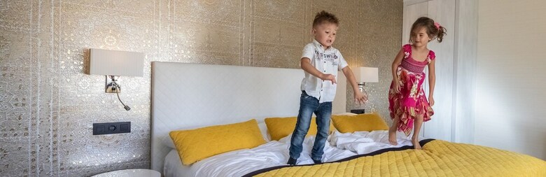 Hotel Van Der Valk de Gouden Leeuw