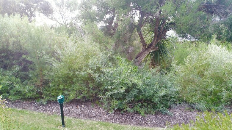 Margaret River Beach Apartments