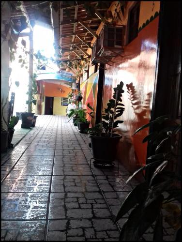Hostal Pousada Cachoeira Da Fuma�a