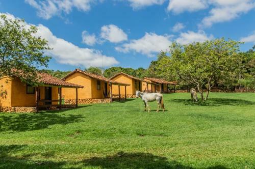 Agroturismo Fazendinha Da Canastra