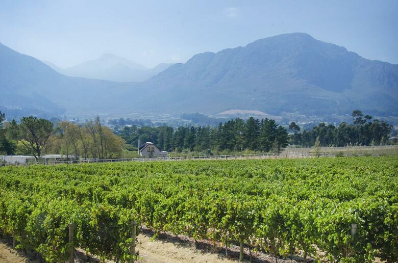 Mont Rochelle Hotel & Vineyard