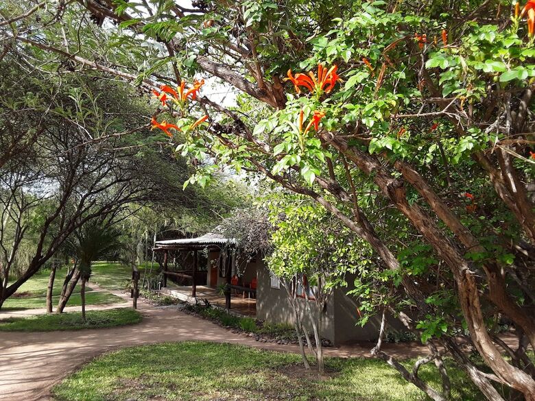 Posada The Bush Pub & Inn