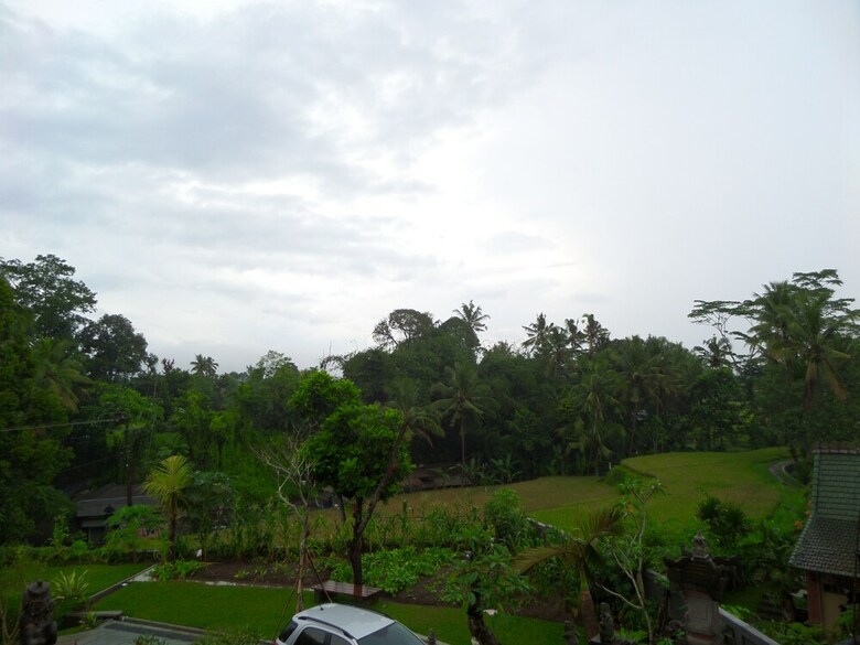 Hotel Inang Ubud Villa