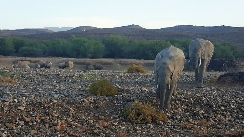 Posada Sanbona Wildlife Reserve