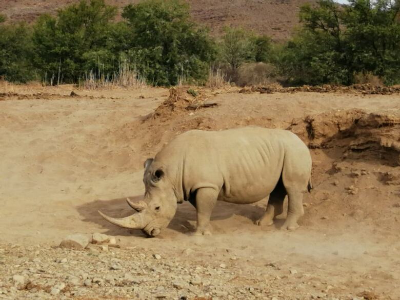 Posada Sanbona Wildlife Reserve