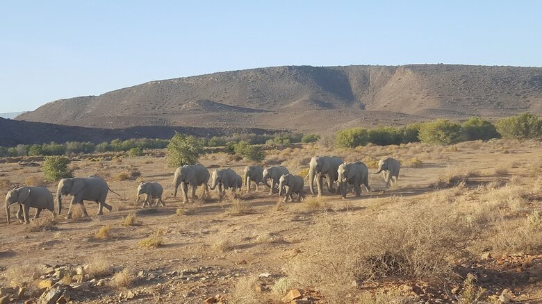 Posada Sanbona Wildlife Reserve