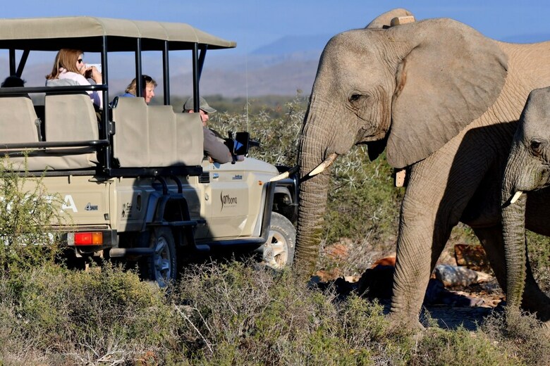 Posada Sanbona Wildlife Reserve