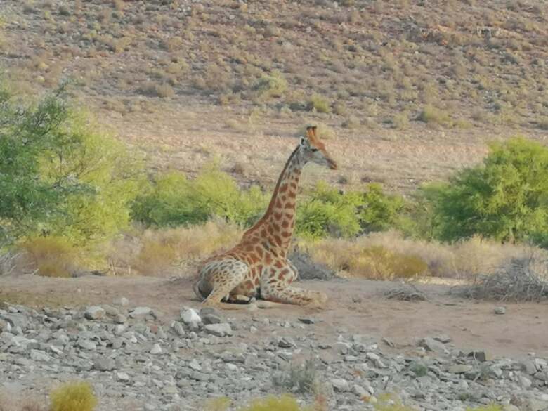 Posada Sanbona Wildlife Reserve