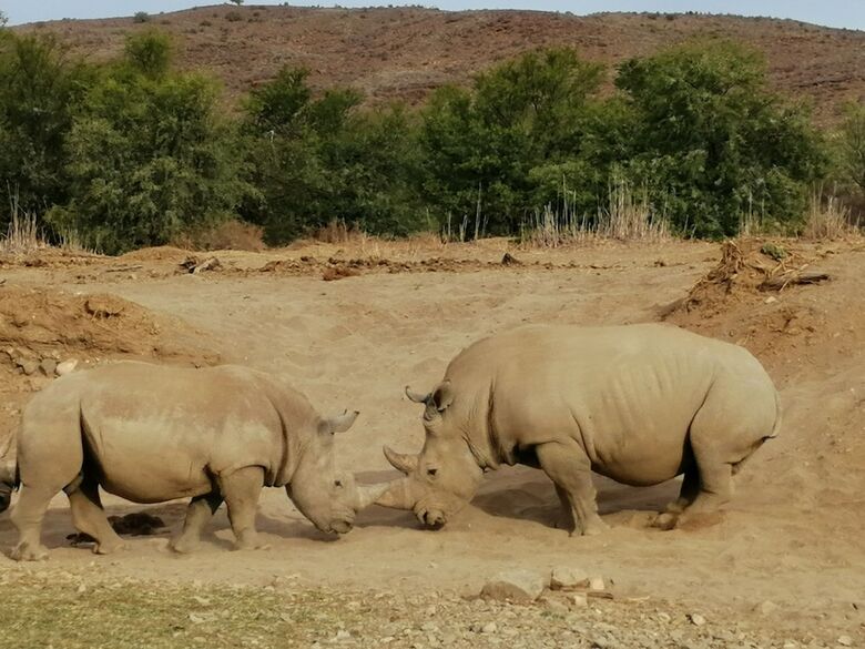 Posada Sanbona Wildlife Reserve