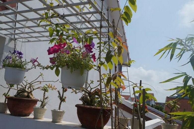 Hotel Red House Homestay