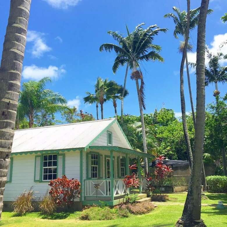 Apartamento Cobblers Cove