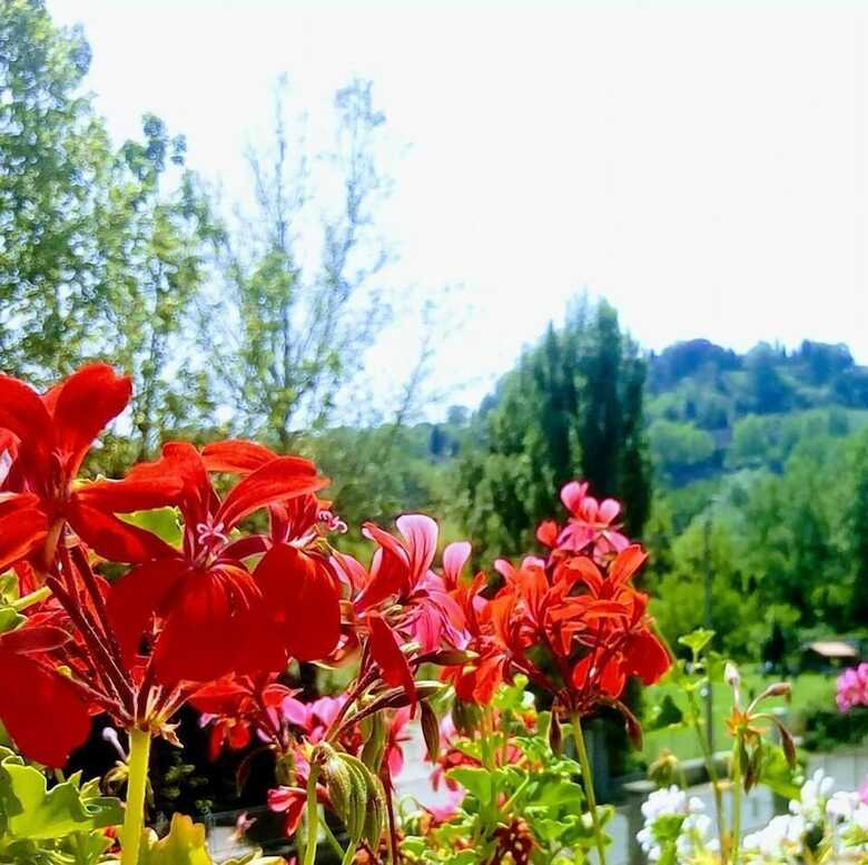 Casa Dei Fiori B&B