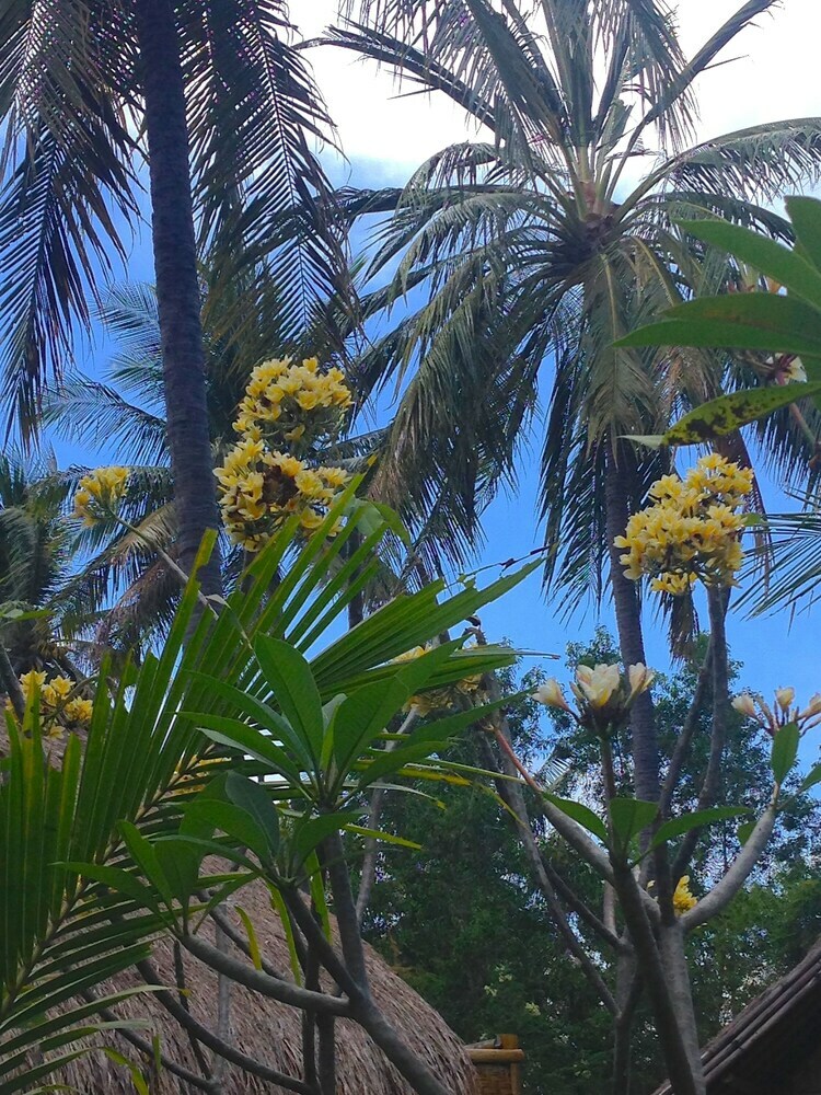Hotel Rinjani Beach Eco Resort