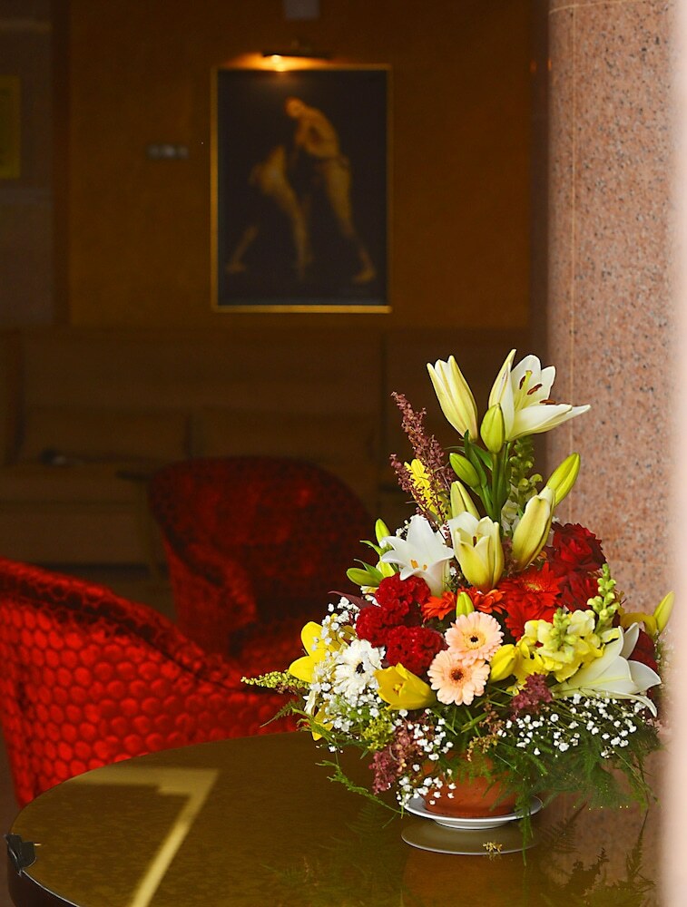 Hotel H�tel Fleur de Lys Plateau