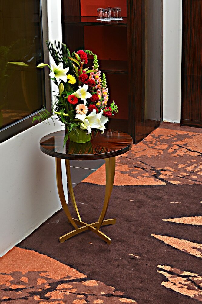 Hotel H�tel Fleur de Lys Plateau