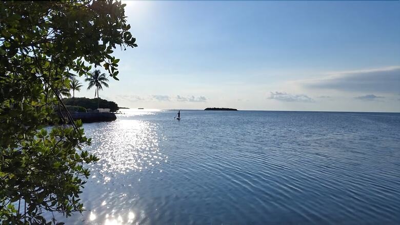 Hotel Coconut Cay Resort & Marina
