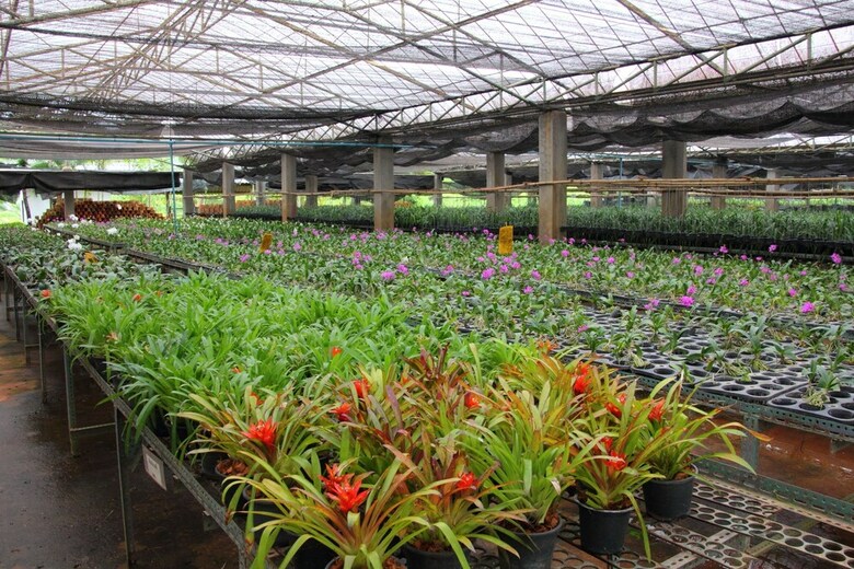 Hotel Phu Pha Nam Resort & Spa