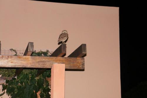 Hostal Pousada Flor De L�tus