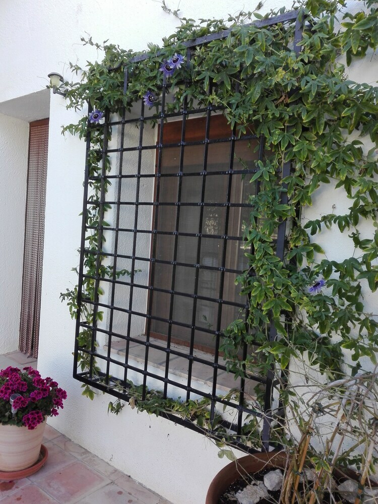 Hotel Casa Pedro Barrera