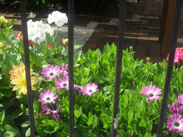 Bed & Breakfast Sandway House