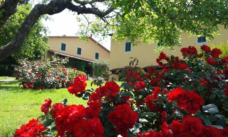 Apartamento Agriturismo Casa Italia