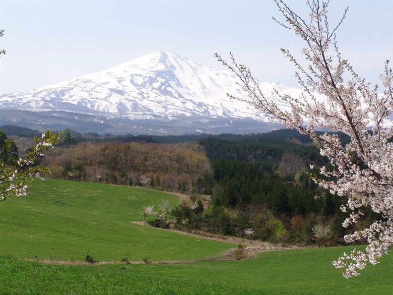 Chokai Sarukura Onsen Hotel Foresta Chokai
