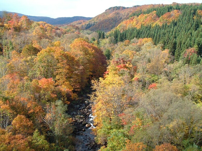 Chokai Sarukura Onsen Hotel Foresta Chokai