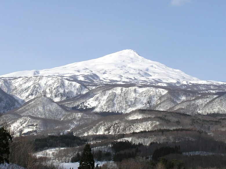 Chokai Sarukura Onsen Hotel Foresta Chokai