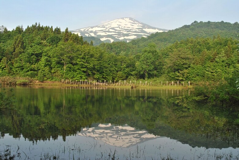 Chokai Sarukura Onsen Hotel Foresta Chokai