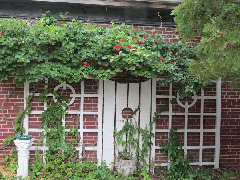 Bed & Breakfast The Silver Fountain Inn