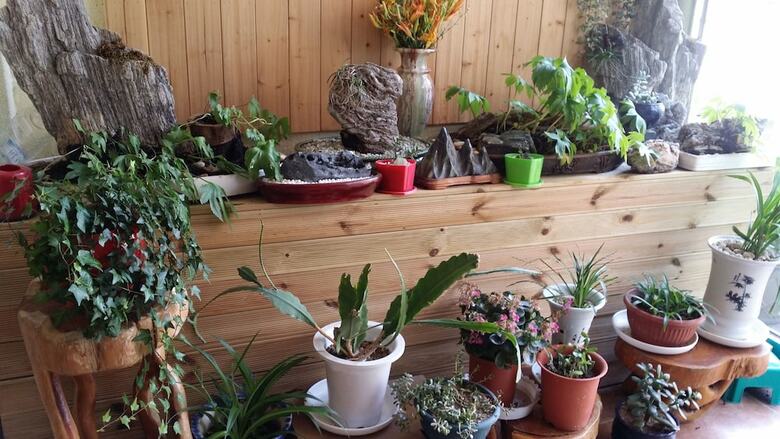 Hostal Seorak Dongchun Youthtel - Hostel