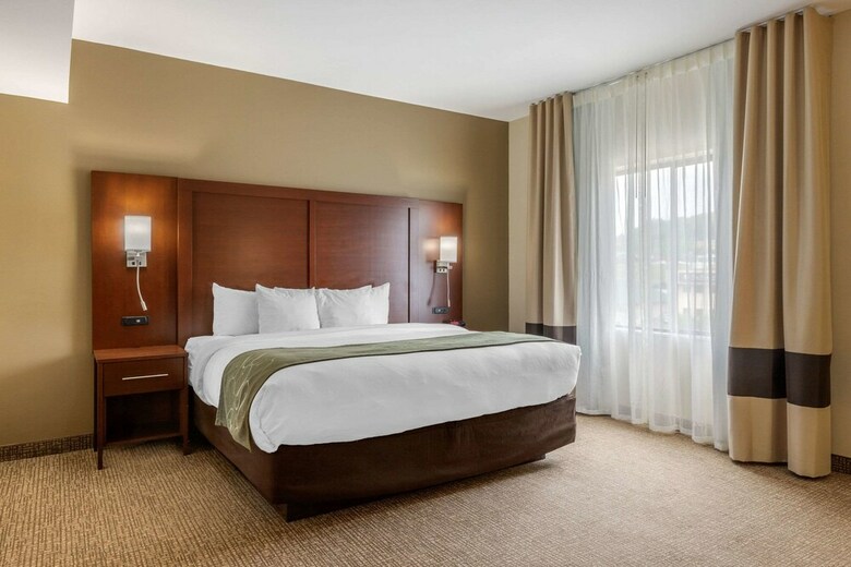 Hotel Comfort Suites Johnson City