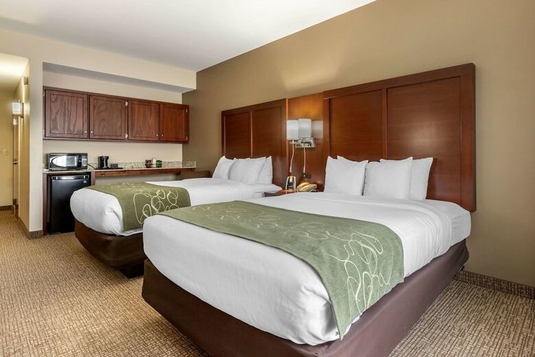 Hotel Comfort Suites Johnson City