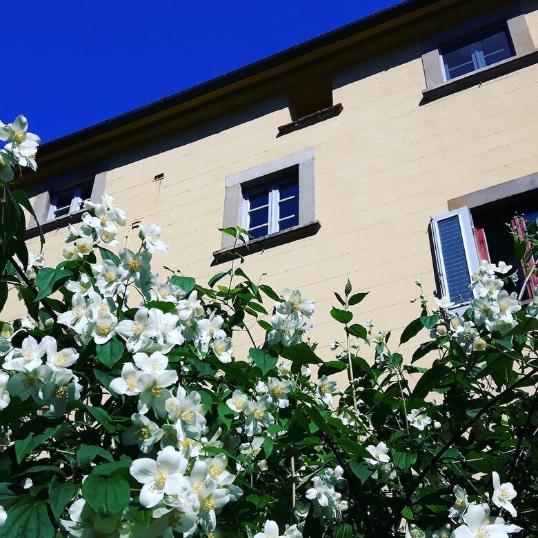 Bed & Breakfast Bella Di Ceciliano