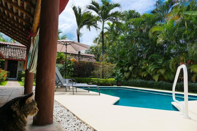 Villa Botero By Casa Mojito Bed And Breakfast