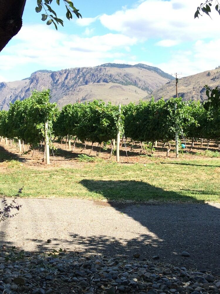 Bed & Breakfast Crowsnest Vineyards Guesthouse