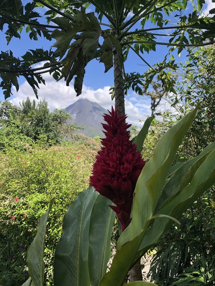 Posada Arenal Garden Lodge
