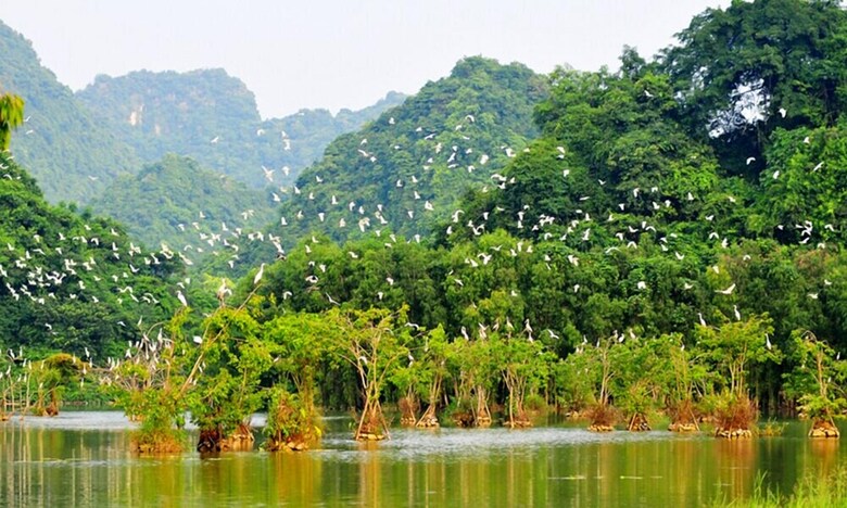Apartamento Tam Coc Garden