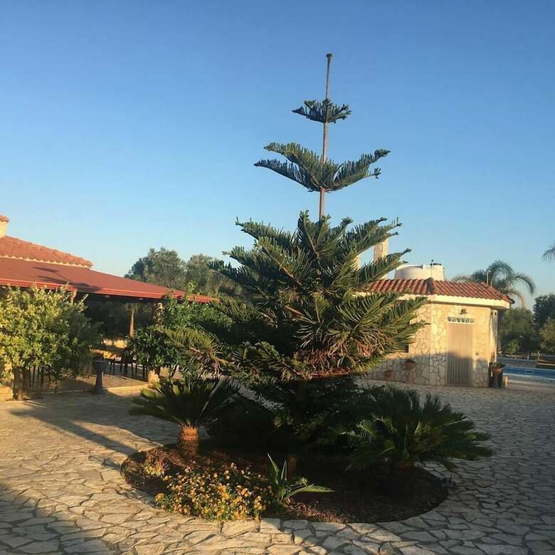 Bed & Breakfast Parco Monsignore